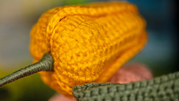 vegetable crochet kit bell pepper