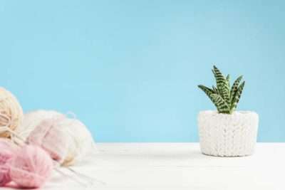 Yarn balls and plant in a white crochet pot. Perfect for a beginner Crochet Kit.