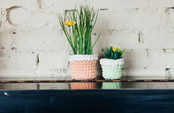 Small plants in vibrant crochet pots on a shelf, great for a DIY Crochet Kit.