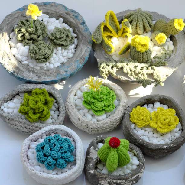 Beautiful finished crochet succulent plants, created using a creative crochet kit.